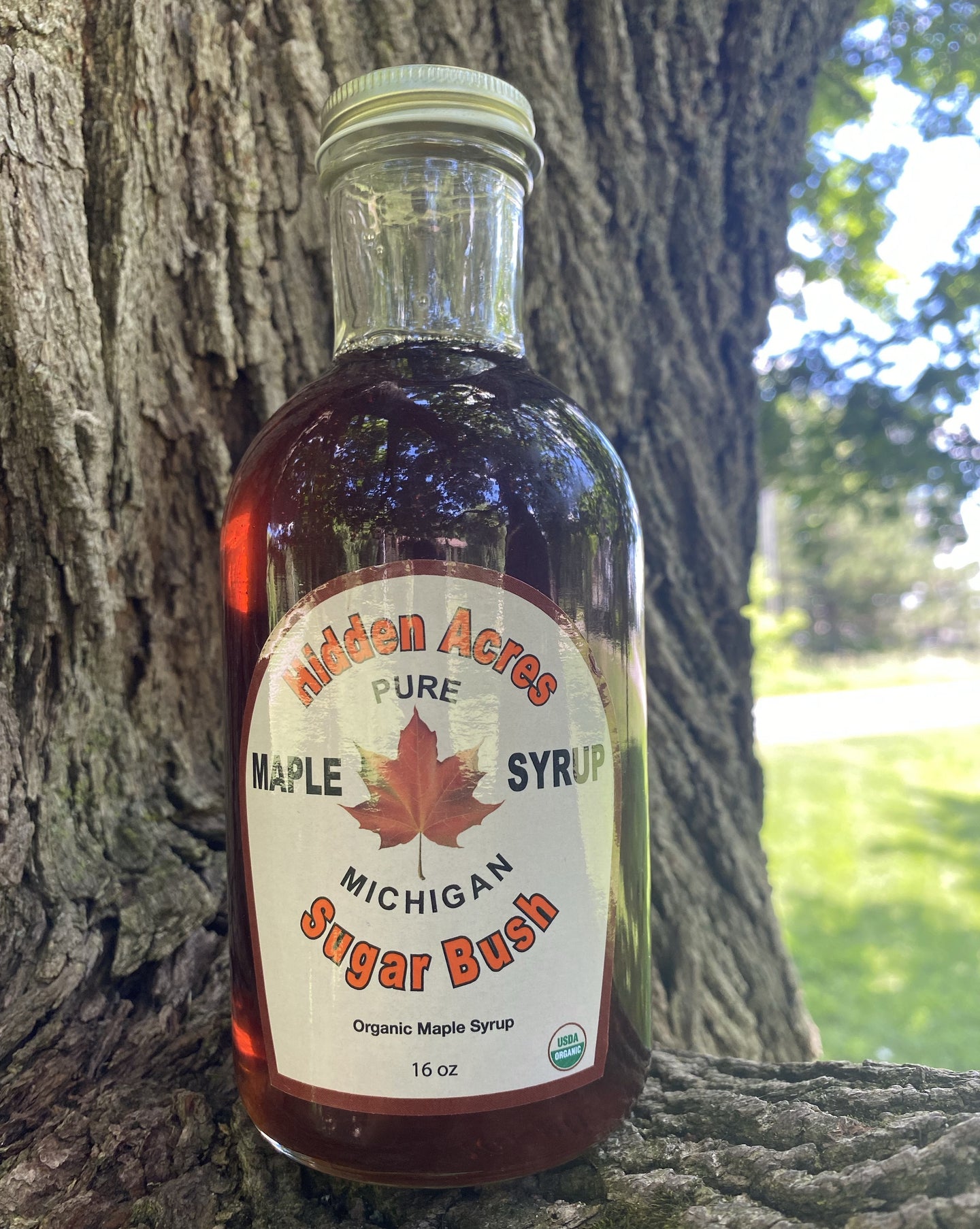 Organic Michigan Maple Syrup Glass Bottles